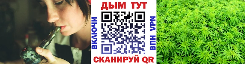 Бошки Шишки сатива  Купить  Мглин 